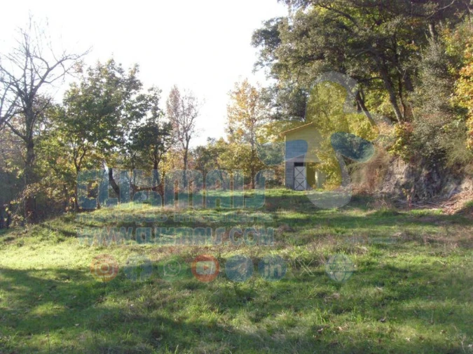 Terreno para Venda em Louredo Foto 11