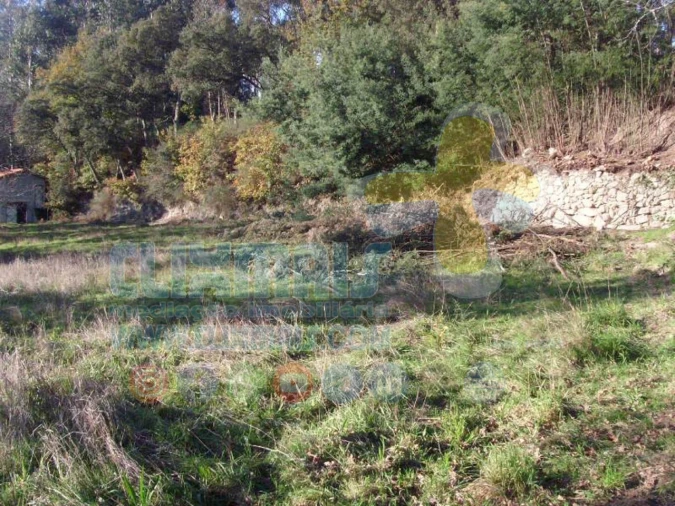 Terreno para Venda em Louredo Foto 14
