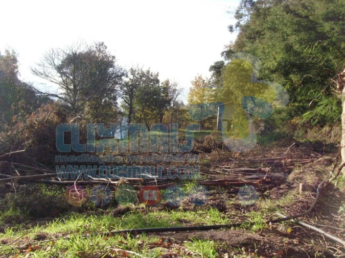 Terreno para Venda em Louredo Foto 17