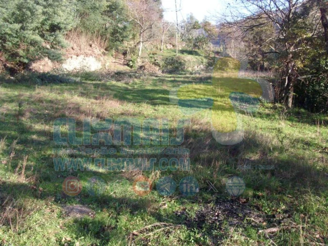 Terreno para Venda em Louredo Foto 18