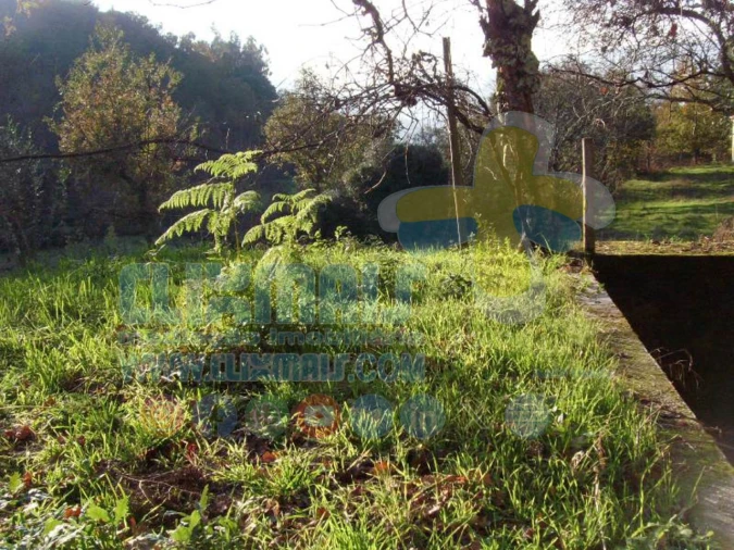 Terreno para Venda em Louredo Foto 24