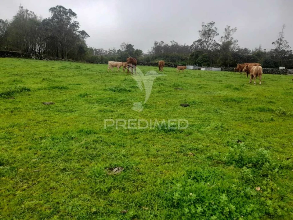 Terreno para Venda em Terra Chã Foto 9