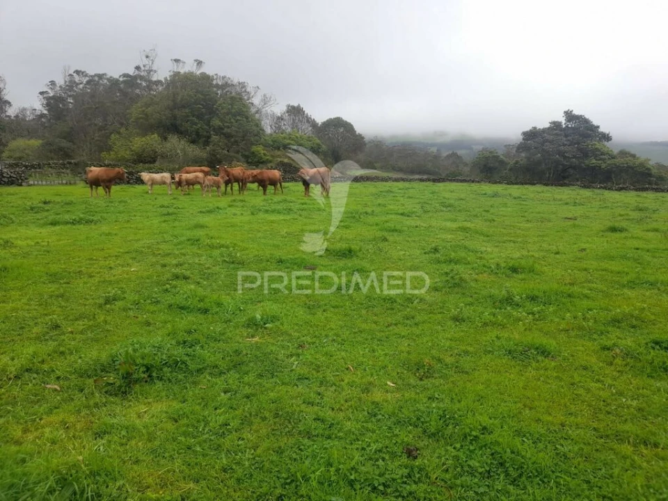 Terreno para Venda em Terra Chã Foto 2