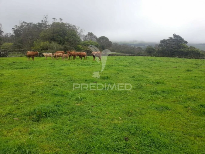 Terreno para Venda em Terra Chã Foto 2