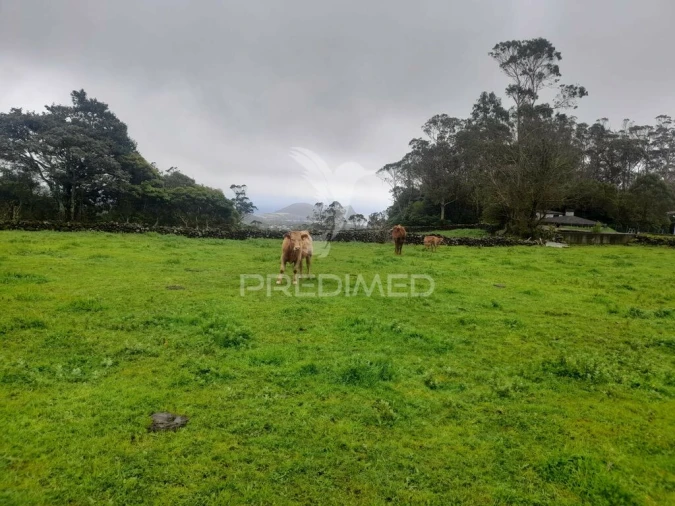 Terreno para Venda em Terra Chã Foto 5