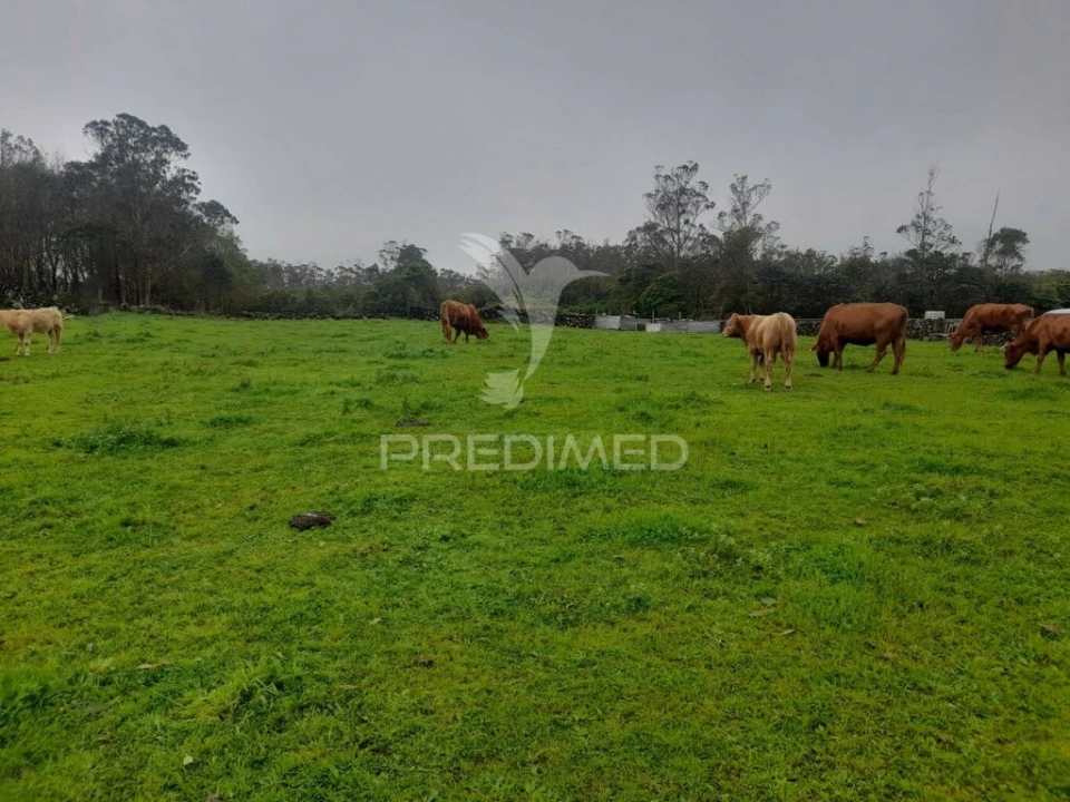 Terreno para Venda em Terra Chã Foto 4