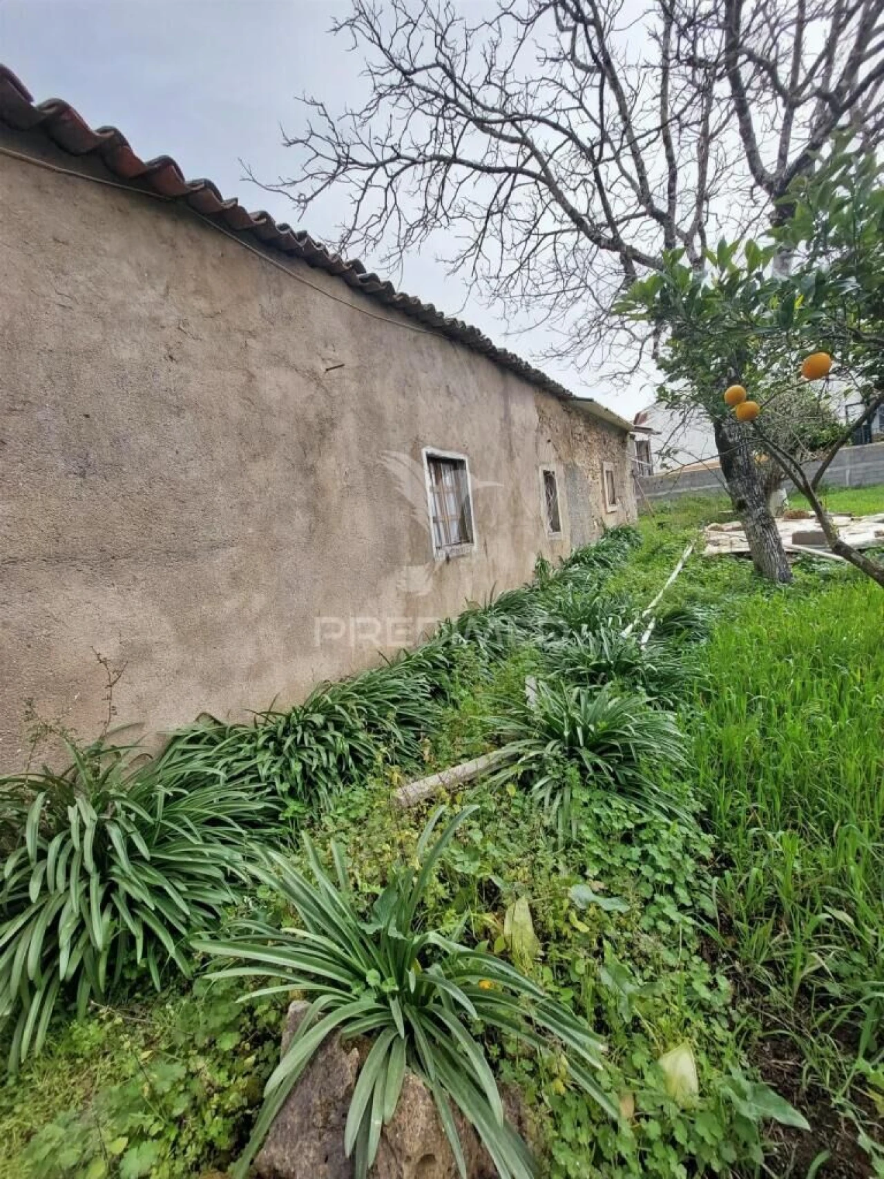 Moradia T3 para Venda em Nossa Senhora do Pranto Foto 13