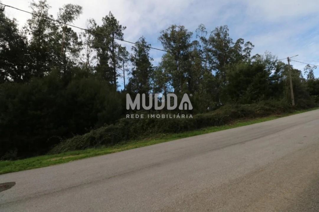 Terreno para Venda em Caldas de São Jorge e Pigeiros Foto 2