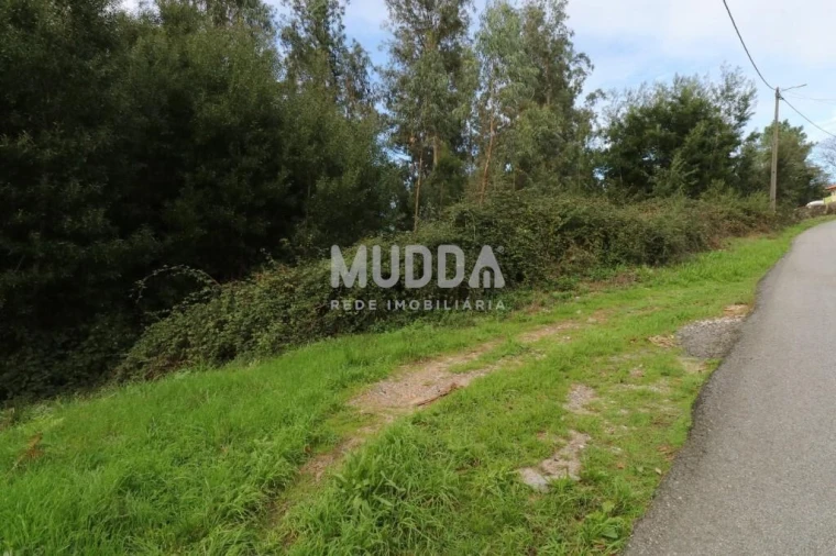 Terreno para Venda em Caldas de São Jorge e Pigeiros Foto 3