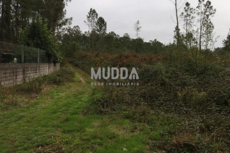Terreno para Venda em Caldas de São Jorge e Pigeiros Foto 1