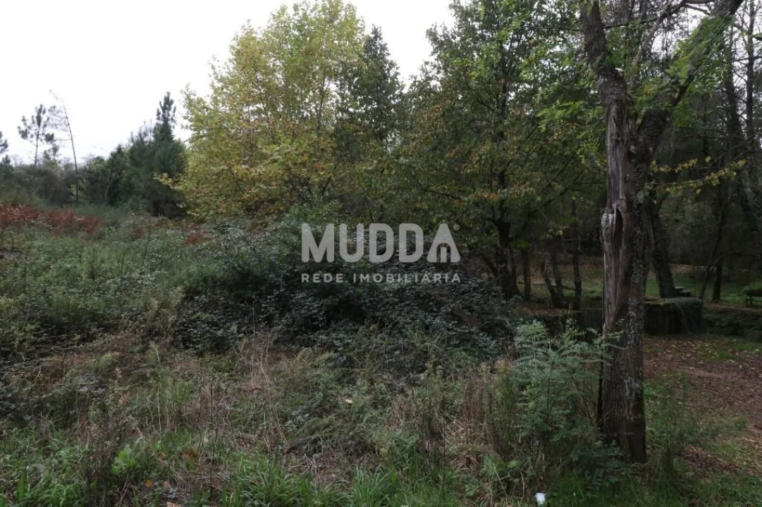 Terreno para Venda em Caldas de São Jorge e Pigeiros Foto 4