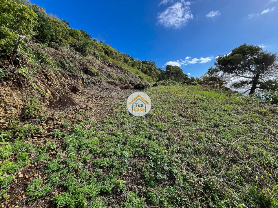 Terreno para Venda em Calheta Foto 9