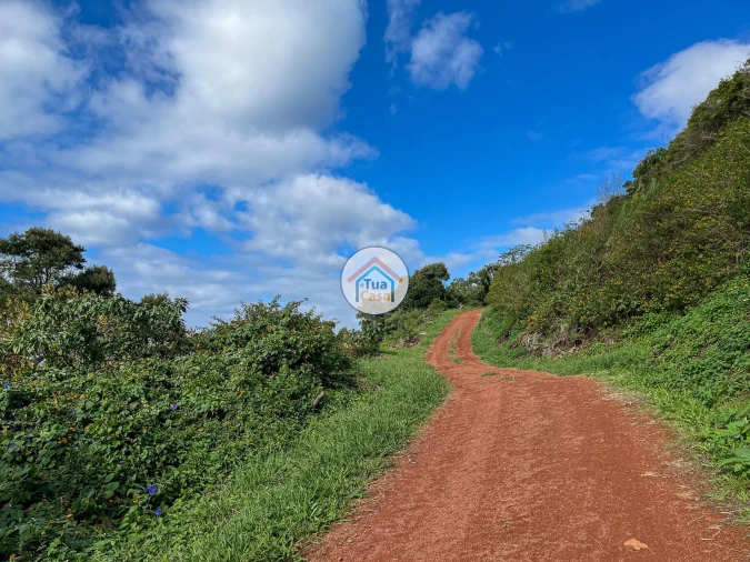 Terreno para Venda em Calheta Foto 2