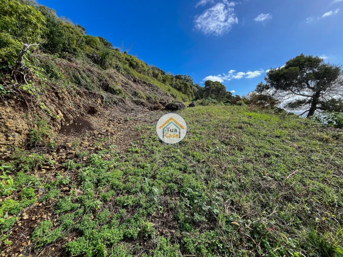 Terreno para Venda em Calheta Foto 9