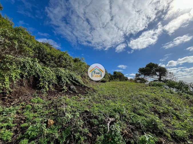 Terreno para Venda em Calheta Foto 5