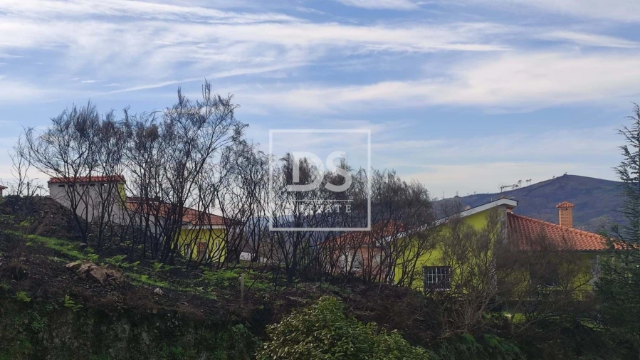 Terreno para Venda em Ancede e Ribadouro Foto 3