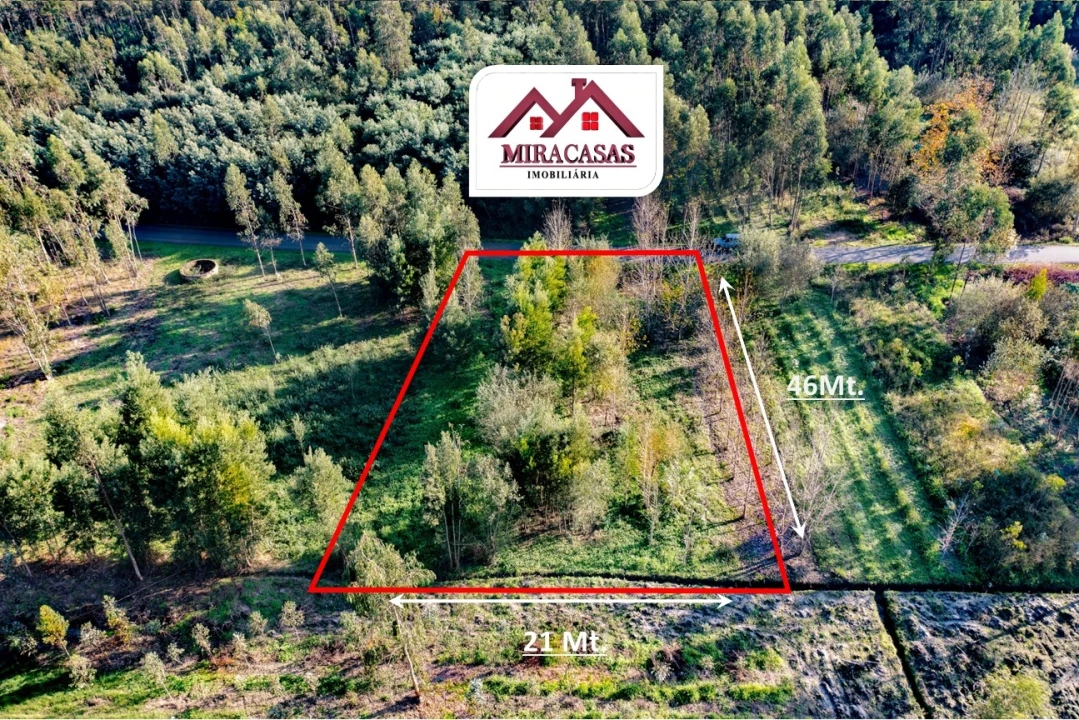 Terreno Agricola ou Rústico para Venda em Mira Foto 3