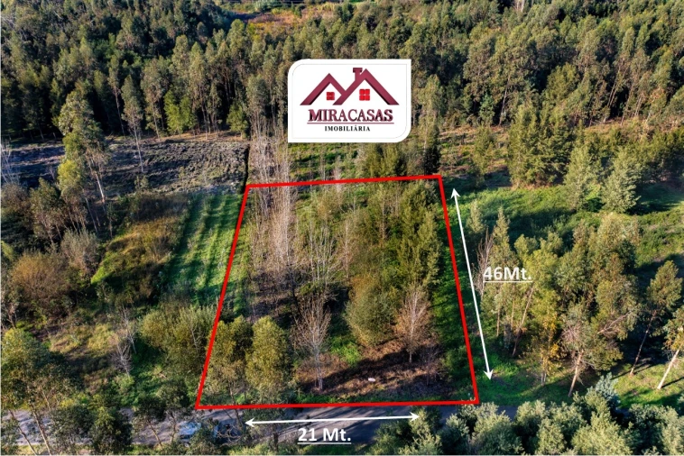 Terreno Agricola ou Rústico para Venda em Mira Foto 2