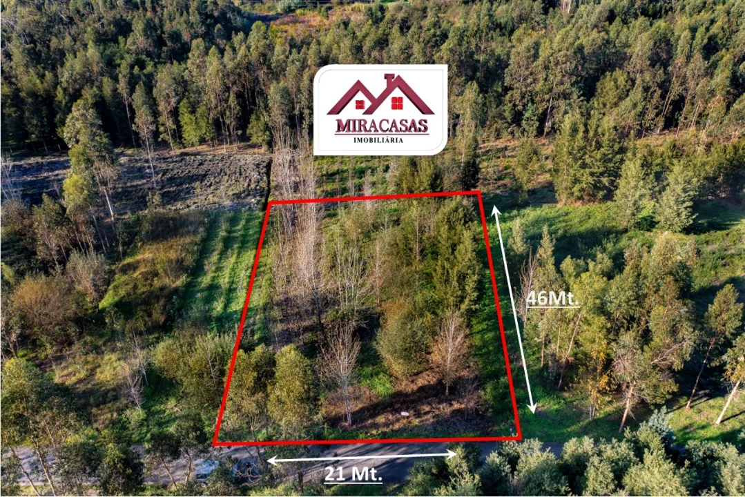 Terreno Agricola ou Rústico para Venda em Mira Foto 2