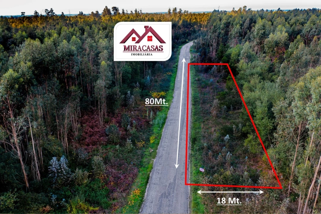 Terreno Agricola ou Rústico para Venda em Mira Foto 2