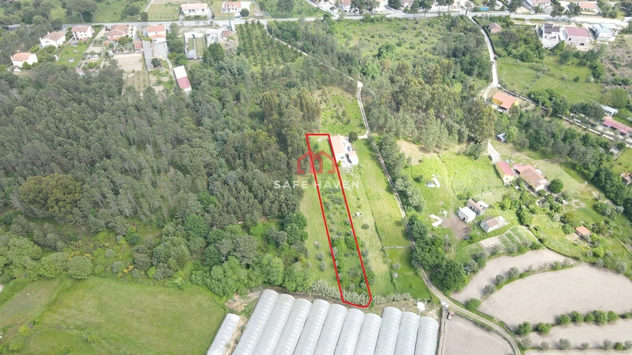 Terreno Agricola ou Rústico para Venda em Moimenta de Maceira Dão e Lobelhe do Mato Foto 1