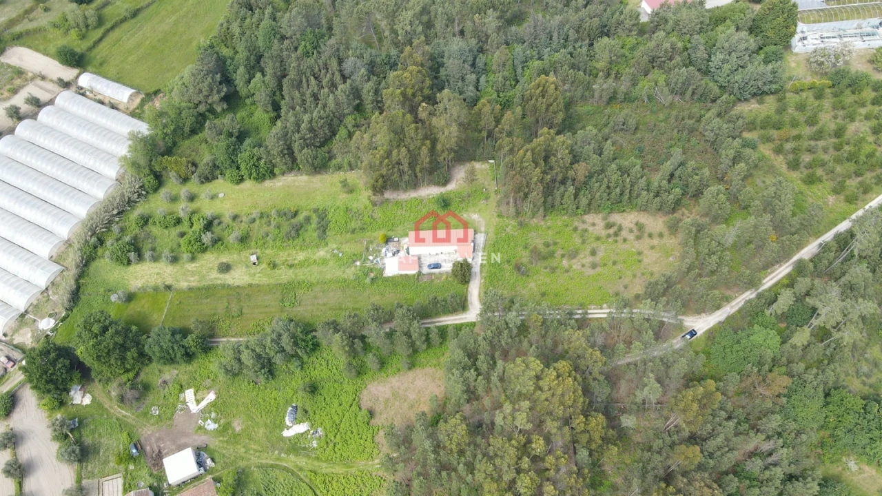 Terreno Agricola ou Rústico para Venda em Moimenta de Maceira Dão e Lobelhe do Mato Foto 3
