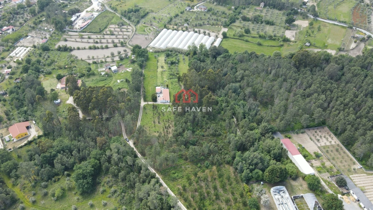 Terreno Agricola ou Rústico para Venda em Moimenta de Maceira Dão e Lobelhe do Mato Foto 2