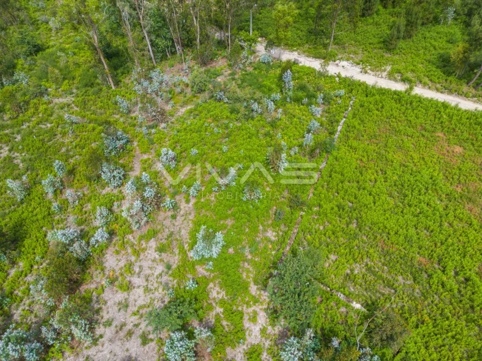 Terreno para Venda em Loureira Foto 13