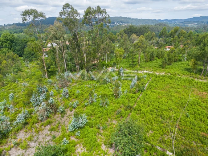 Terreno para Venda em Loureira Foto 15