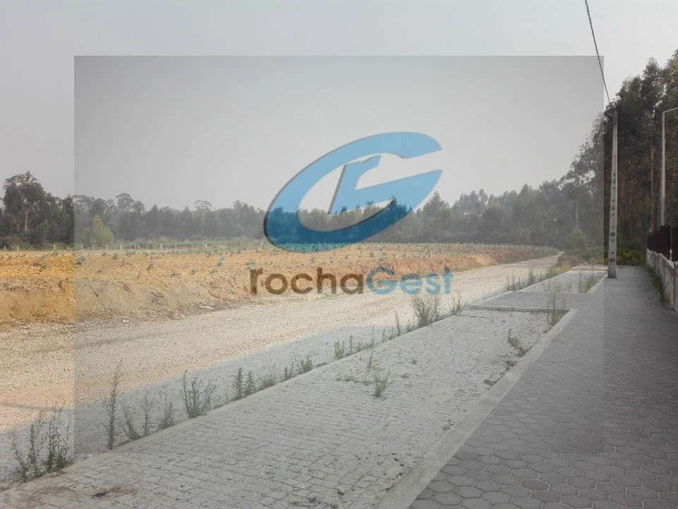 Terreno Agricola ou Rústico para Venda em Arcozelo Foto 3