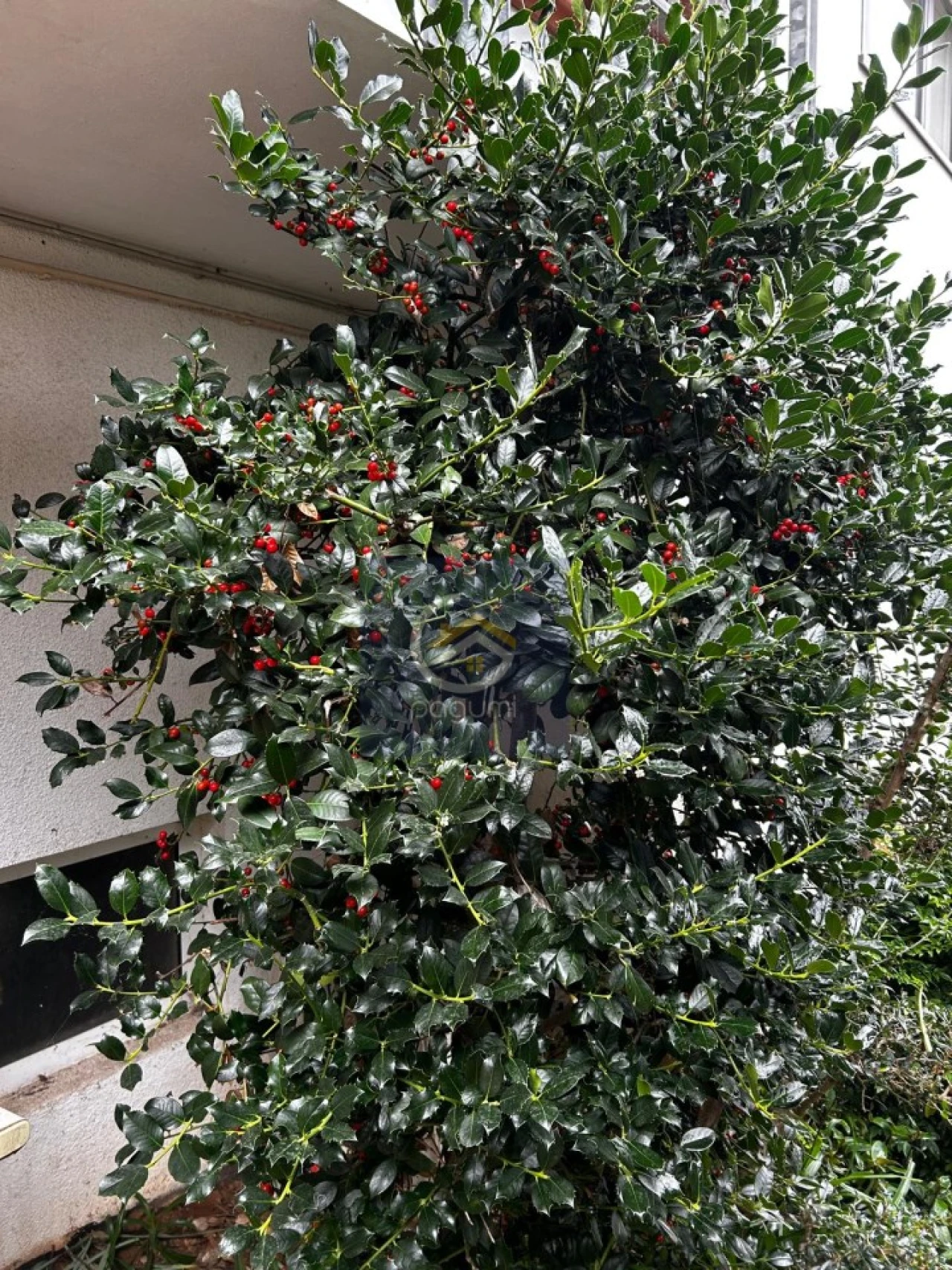 Moradia T5 para Venda em Mondim de Basto Foto 10