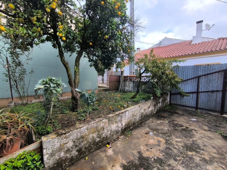 Negócio para Venda em Pego Foto 3