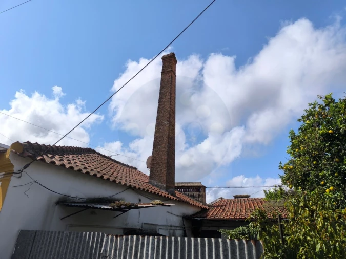 Negócio para Venda em Pego Foto 5