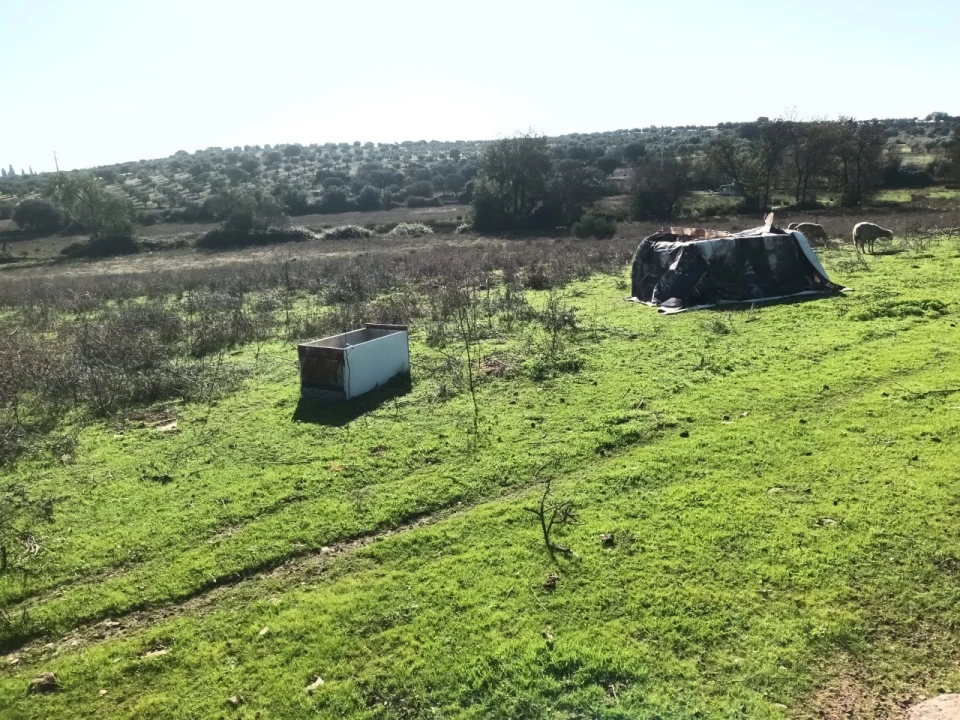 Terreno para Venda em Barbacena e Vila Fernando Foto 3