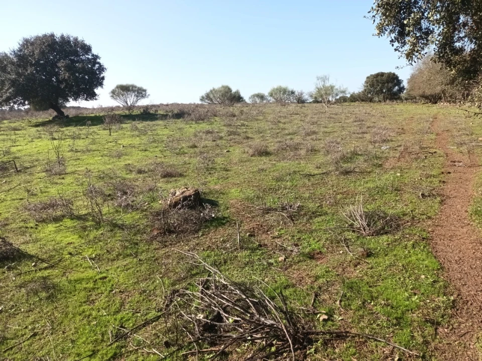 Terreno para Venda em Barbacena e Vila Fernando Foto 7