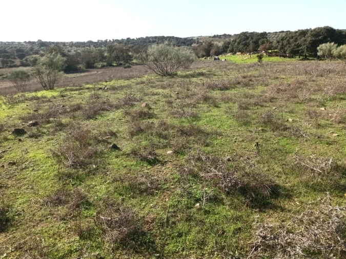 Terreno para Venda em Barbacena e Vila Fernando Foto 4