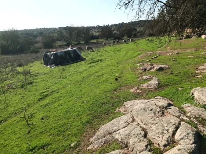 Terreno para Venda em Barbacena e Vila Fernando Foto 11