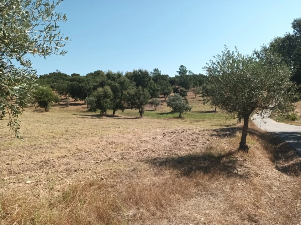 Moradia T5 para Venda em Alegrete Foto 26