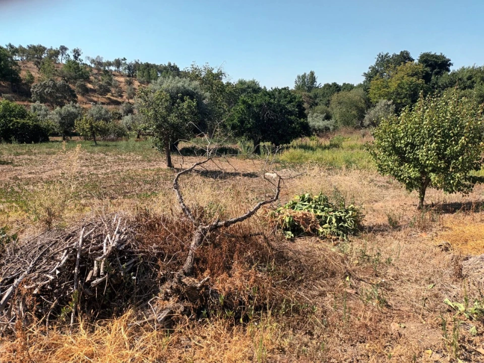 Moradia T5 para Venda em Alegrete Foto 33