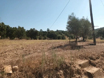 Moradia T5 para Venda em Alegrete