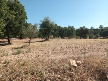 Moradia T5 para Venda em Alegrete
