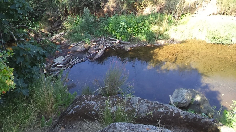 Moradia T5 para Venda em Alegrete Foto 12