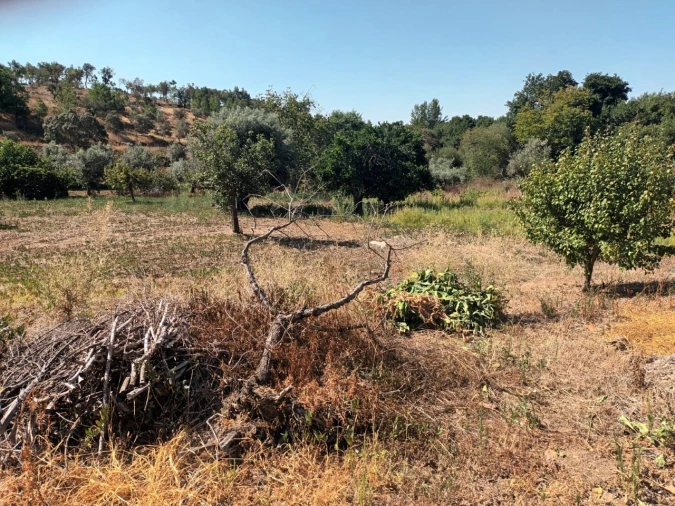 Moradia T5 para Venda em Alegrete Foto 33