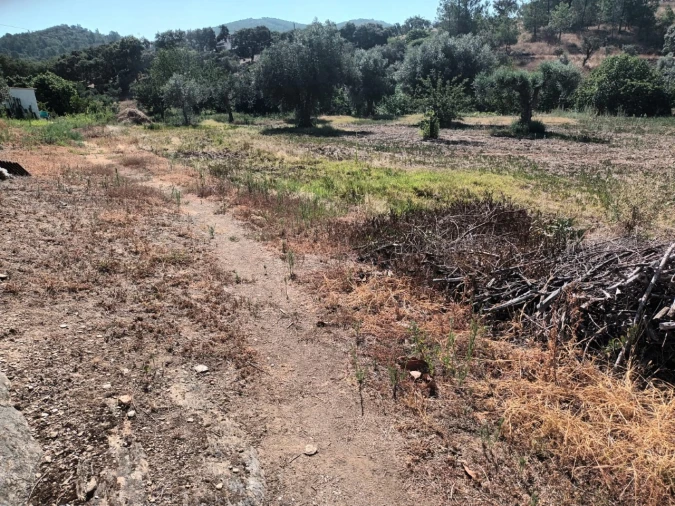 Moradia T5 para Venda em Alegrete Foto 34