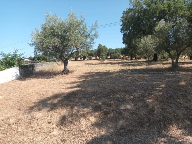 Moradia T5 para Venda em Alegrete Foto 38