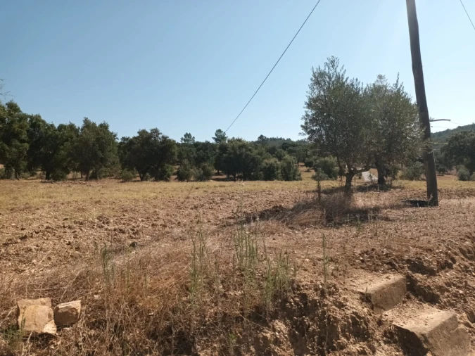 Moradia T5 para Venda em Alegrete Foto 39