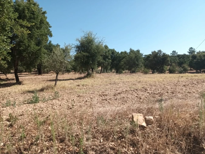 Moradia T5 para Venda em Alegrete Foto 40