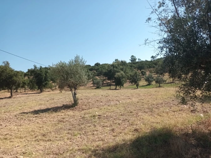 Moradia T5 para Venda em Alegrete Foto 41