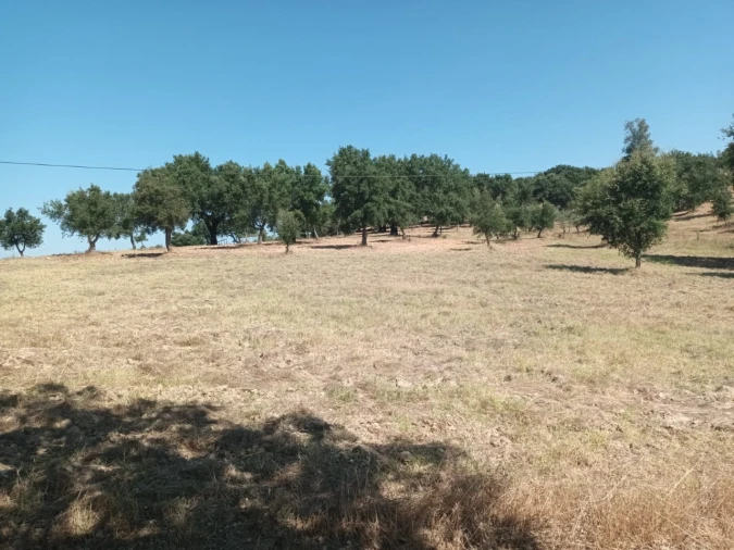 Moradia T5 para Venda em Alegrete Foto 44