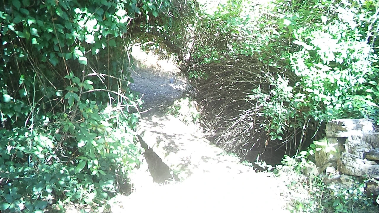 Moradia T3 para Venda em Santa Maria de Marvão Foto 4